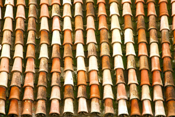 old moroccan  tile roof  the  city