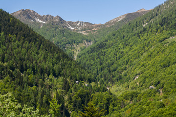 Fototapeta na wymiar La natura dell'alta Valle Vigezzo, Valle Ossola, Verbania, Piemonte, Italia