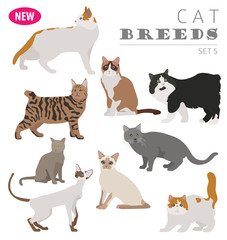 Cat breeds icon set flat style isolated on white. Create own infographic about pets