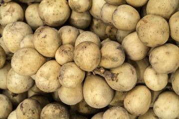 Duku or Long Gong fruit