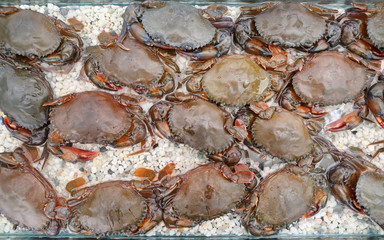 Crabs in the preserve