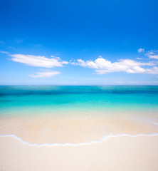 beach and tropical sea