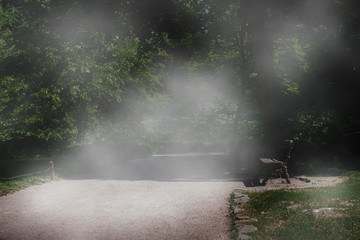 Plakat walking path in the foggy park