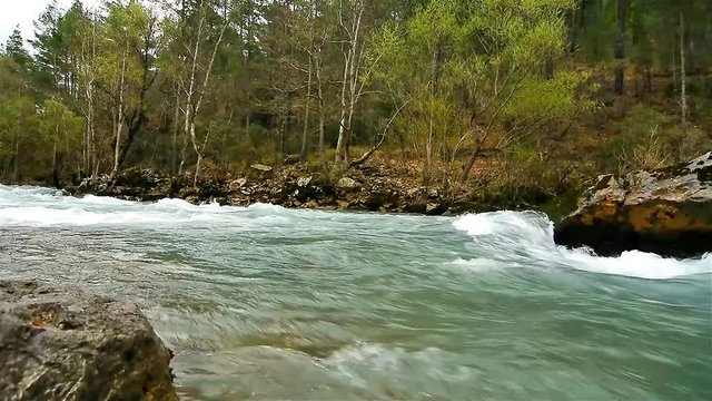 Delicesine Akan Sular