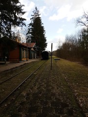 Białowieża. Peron. Kolej