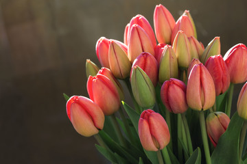 Small bouquet of spring early red tulips close