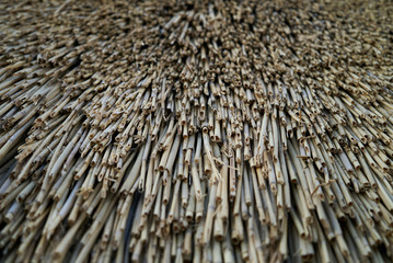 Yellow old dry straw background closeup