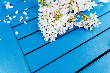 Fototapeta na wymiar Springtime blossom against a blue table 