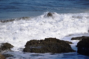 Fototapeta premium 荒波