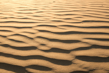 Fototapeta na wymiar Sand in desert. Background. USA Death Valley