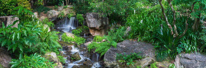 Fototapeta premium Panoramiczny widok na mały wodospad, który biegnie i uderza w skały z mnóstwem potrójnych roślin i paproci w Brisbane Botanical Garden Mt Coot-tha, Australia