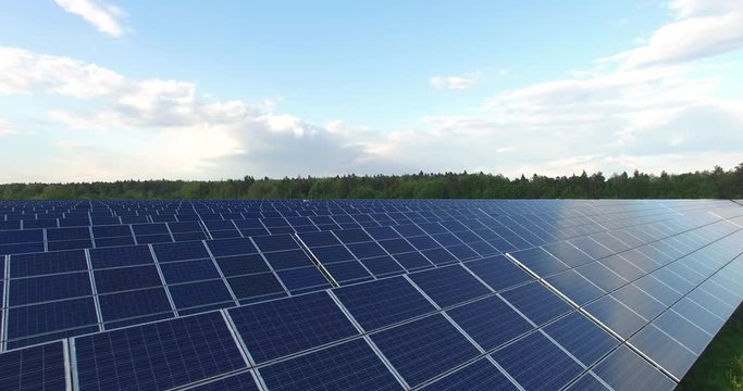 solar plant in the field