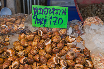 Seafood market, selective focus (detailed close-up shot)