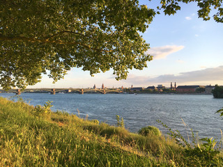 Banks of river Rhine seen from Mainz Kastel, Germany