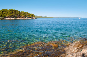 Fototapeta premium Transparent deep blue sea water and rocky coast with green forest, pine trees and hills on the back. Bozava, Croatia, summer