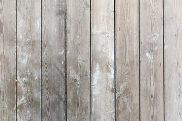 Wood texture