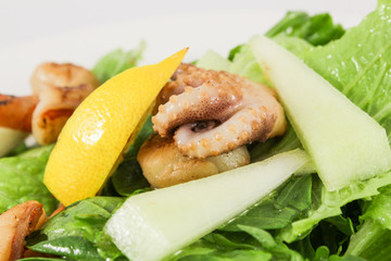 Sea salad with scallops, prawns, squid, cuttlefish, in duet with lettuce and cucumber, seasoned with olive oil and Provence herbs