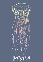 handdrawn graphic illustration of jellyfish in vector. sea icons collection 