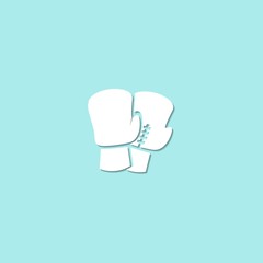 boxing gloves icon