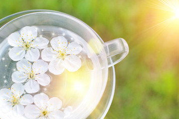 Spring  Background - Blossom in the cup - Sunshine