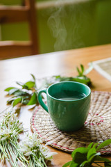 Black tea with lemon in green mug with snowdrops and spring plants background