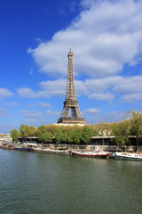 Fototapeta na wymiar Paris - Tour Eiffel