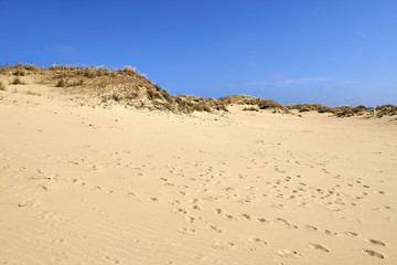 Fototapeta na wymiar Footprints on the sand dunes