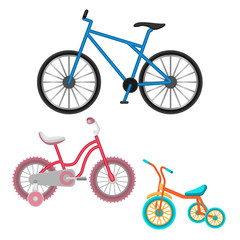 Set of bicycles vector realistic illustration isolated on white