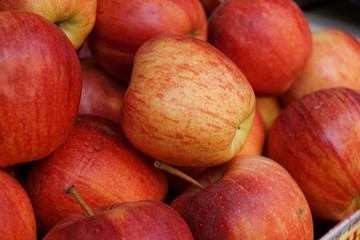 Red Apple (selective focus)