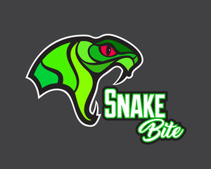 Vector snake head sports logo illustration. Mascot, T-shirt, sticker, label design.