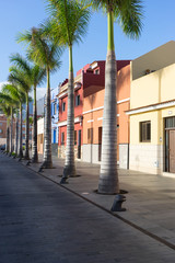 Fototapeta na wymiar houses and palm trees / Street with colorful houses and palm trees 