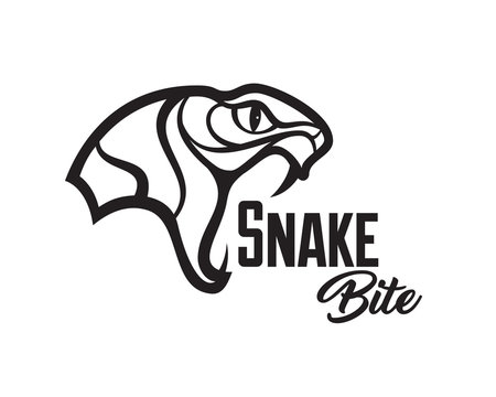 Vector snake head sports logo illustration. Mascot, T-shirt, sticker, label design.