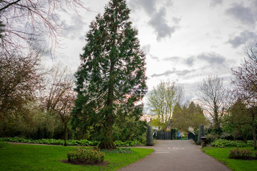 Springtime in a park pathways and blossom lush foliage