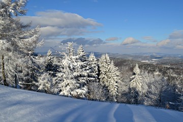 Fototapeta na wymiar Jaworzyna Krynicka zimą, Polska