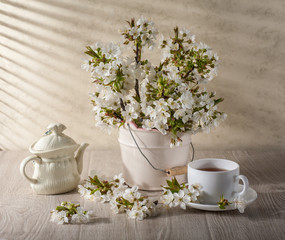 Still life with cherry blossom