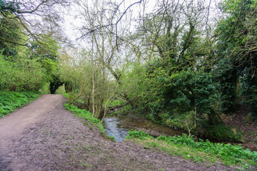 Springtime in a park pathways and blossom lush foliage