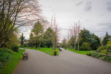 Springtime in a park pathways and blossom lush foliage