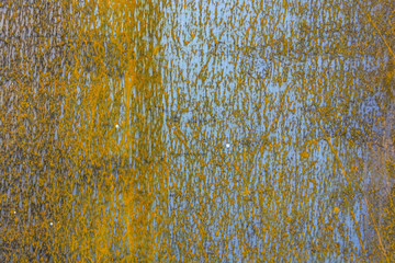 Abstract corroded colorful rusty metal background