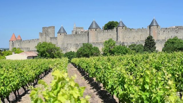 View from vineyards near the Cite in Carcassonne 