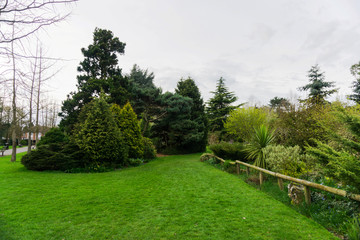 Springtime in a park pathways and blossom lush foliage