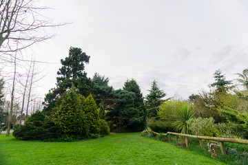 Springtime in a park pathways and blossom lush foliage