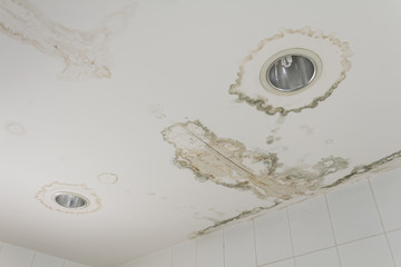 Water leaking from ceiling   make  damaged  lamp