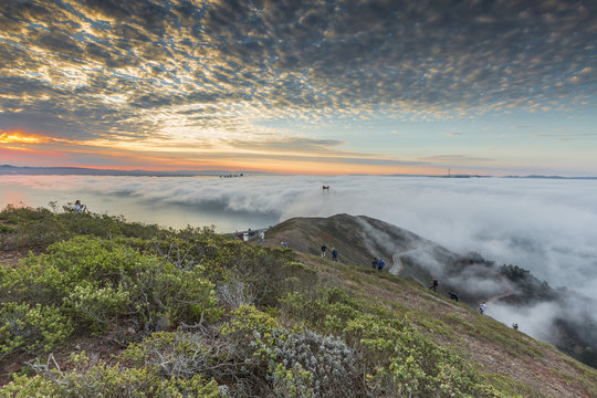 Golden Gate Bridge with morning fog shot at sunrise from Slackers Hill. San Francisco, Marin County, California, USA.
