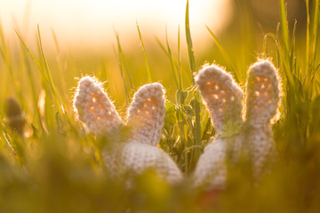 Crocheted egg cozy with bunny ears outside in the grass with evening sun from behind