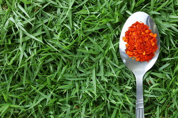 Chilli powder in the spoon put on the grass floor.