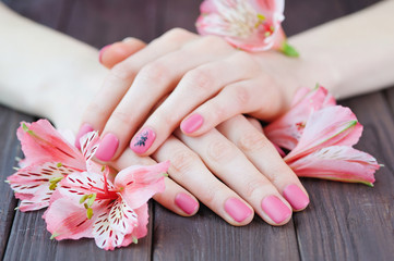 Obraz na płótnie Canvas Woman hands with pink manicure on finger nails and delicate flowers