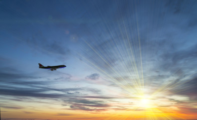 The plane flies in the sky against the background of clouds