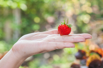 hand holding a strawberry