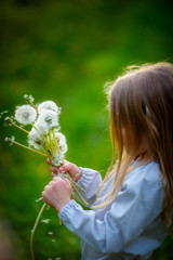 Girl holding a bouquet of ripe white dandelions on a blurred green background