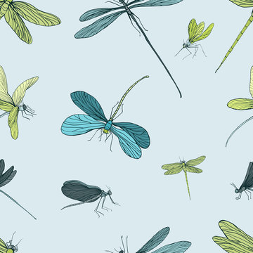 Seamless pattern with different dragonfly. Hand drawn background with flying adder. Vector illustration.